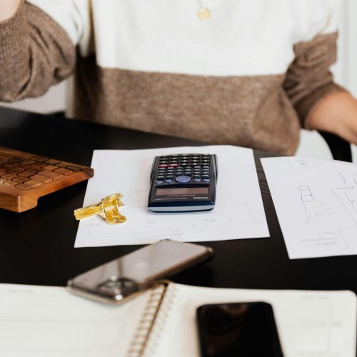 Professional finance team providing offshore bookkeeping services and accounting support for US businesses.